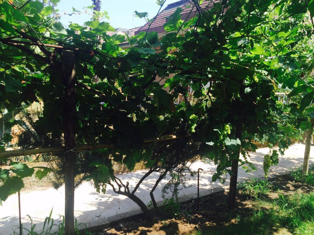 Aloha House Hotel Formia Bagian luar foto